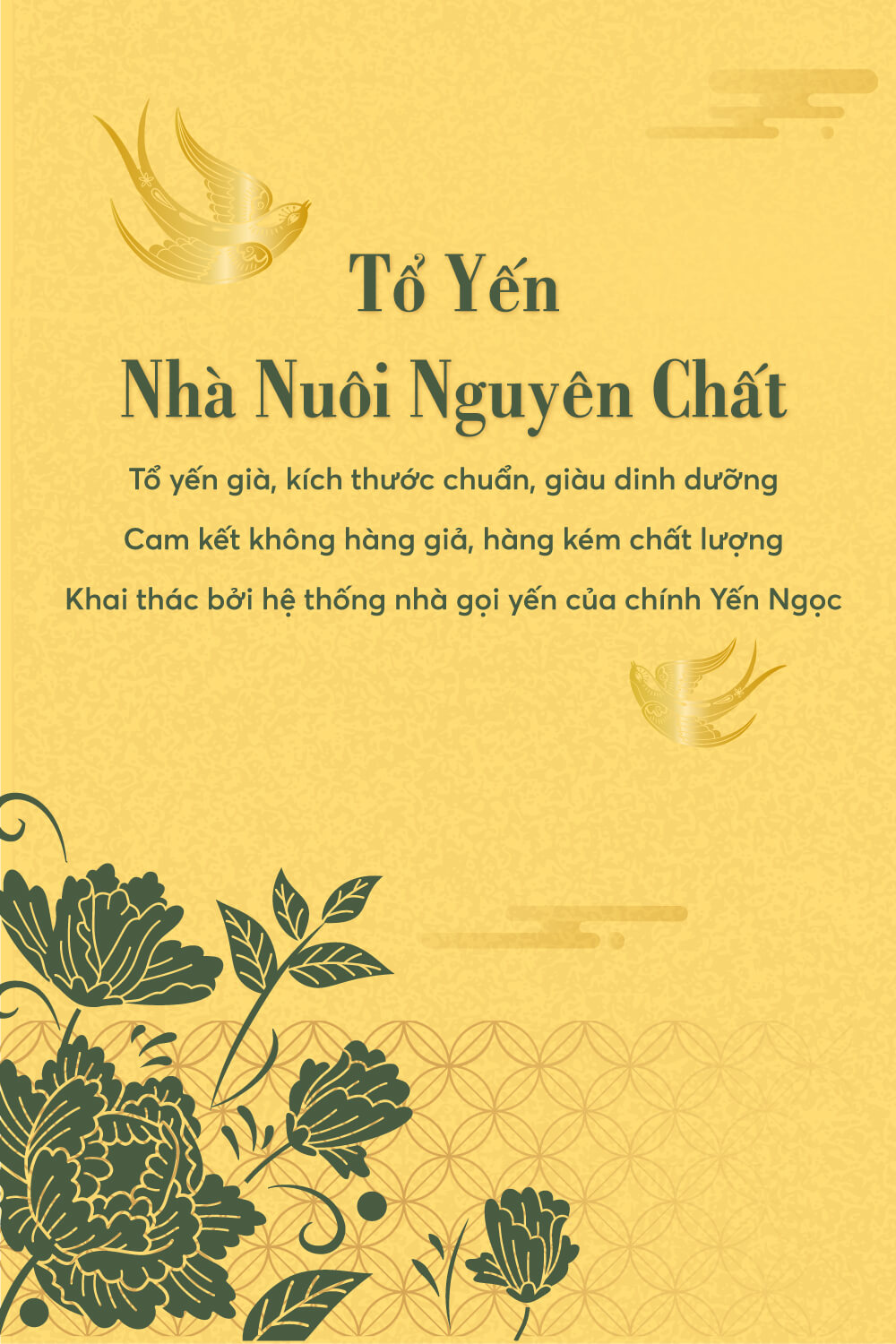 banner tổ yến thô