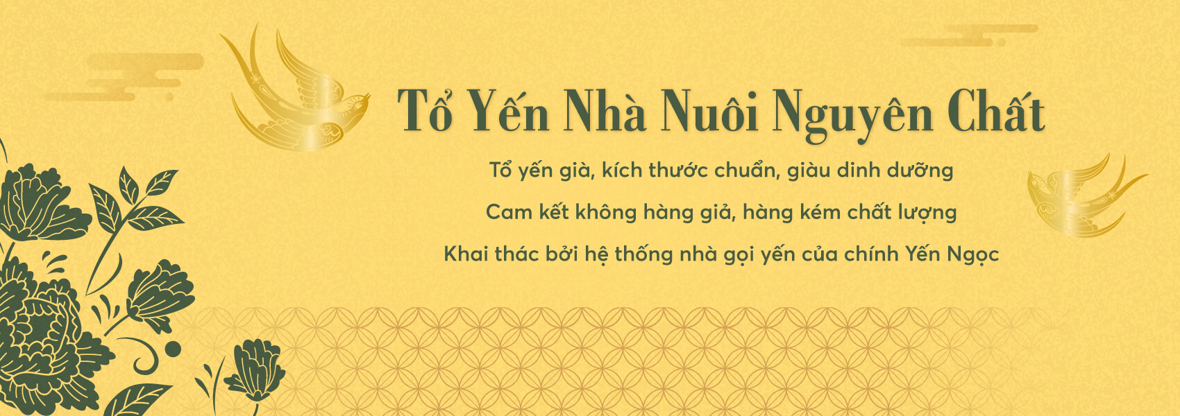 banner tổ yến thô