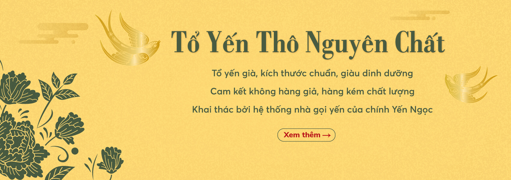 tổ yến thô yến ngọc